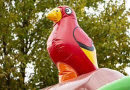 Castillo hinchable con una combinación de tobogán en pirata temático a la venta para niños. Compra castillos hinchables en línea en JB Hinchables España