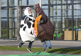 Ordene trajes de sumo inflables en el tema Cow & Bull para jóvenes y adultos. Comprar trajes de sumo hinchables online en JB Hinchables España