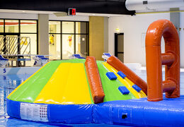 Obtenga un tobogán inflable con tema de delfines para jóvenes y mayores. Ordene juegos de piscina inflables ahora en línea en JB Hinchables España