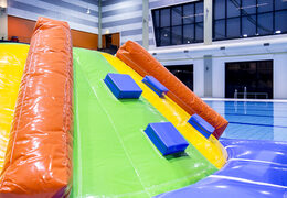 Compre un tobogán genial con tema de delfines para jóvenes y mayores. Ordene juegos de piscina inflables ahora en línea en JB Hinchables España