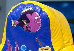 Comprar carrera hinchable hermética Sea World Adventure para grandes y pequeños. Ordene juegos de piscina inflables ahora en línea en JB Hinchables España