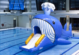 Compre Obstacle Run hermético con temática de ballenas con objetos de obstáculos desafiantes para niños. Ordene carreras de obstáculos inflables en línea ahora en JB Hinchables España