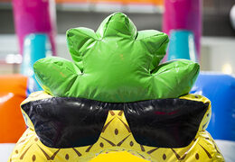 Carrera de obstáculos Flamingo Run en un diseño único para jóvenes y mayores. Comprar carreras de obstáculos para piscinas hinchables online ahora en JB Hinchables España