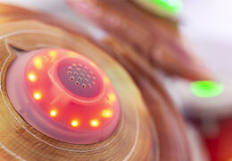 Batería inflable con sistema de juego interactivo a la venta