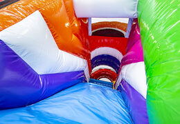 Castillo hinchable mediano en tema flamenco con tobogán para niños. Ordene castillos hinchables en línea en JB Hinchables España