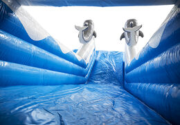 Obtenga su tobogán inflable de delfines con los colores alegres, los objetos 3D y la impresión divertida en la pared lateral en línea ahora. Compre toboganes inflables en JB Hinchables España