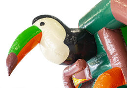 Compra un castillo hinchable con una combinación de tobogán en tema amazona para niños. Ordene castillos hinchables en línea en JB Hinchables España