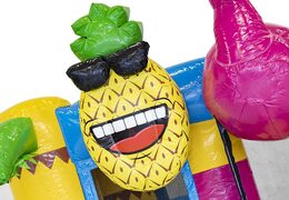 Ordene pequeño castillo inflable multiplay en tema flamenco con tobogán para niños. Castillos inflables de rebote con tobogán a la venta en JB Hinchables España