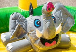 Compre un castillo hinchable con temática de la jungla en la zona de juegos con bolas de plástico y objetos en 3D para niños. Ordene castillos hinchables en línea en JB Hinchables España