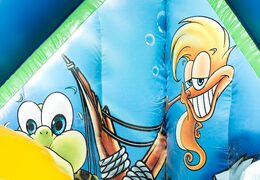 Groot opblaasbaar open speelpark springkussen van 15 meter met glijbaan en spellen bestellen in thema sealife world vissen voor kinderen
