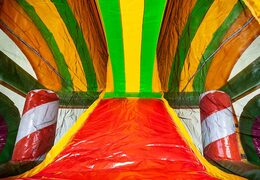 Castillo hinchable multijugador XXL Jungleworld en un diseño único con dos entradas, un tobogán en el medio y objetos 3D para que los niños los pidan. Compre castillos hinchables en línea en JB Hinchables España