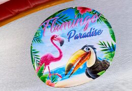 Ordene un castillo hinchable de interior para varios juegos con tema de flamencos para niños en JB Hinchables España. Compre castillos hinchables en línea en JB Hinchables España