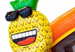 Compre castillo hinchable multiplay con tema de flamencos con bañeras conectables para niños en JB Hinchables España. Ordene castillos hinchables en línea en JB Hinchables España