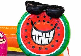 Ordene el castillo hinchable Splashy slide flamingo en JB Inflatables en JB Hinchables España. Compre hinchables en línea en JB Hinchables España