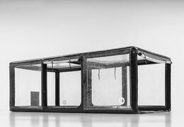 Comprar cápsula de coche inflable para almacenar vehículos.