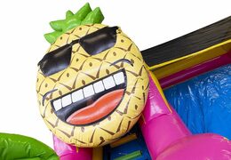 Comprar castillo hinchable tobogán compacto inflable para niños en tema hawaii