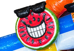 Ordene el castillo hinchable Mini Multiplay en tema Flamingo para niños. Comprar castillos hinchables en JB Hinchables España