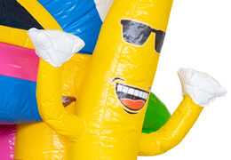 Ordene la fiesta de verano del castillo hinchable de la caja múltiple inflable