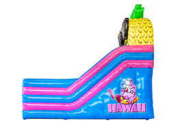 Ordene un castillo hinchable con tobogán en el tema de Hawái en JB Inflatables