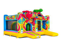 Lado del Multiplay Ibiza rosa verde salamandras