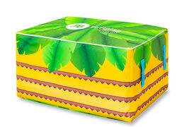 Caja para guardar el softplay en el tema Jungle dino a la venta en JB