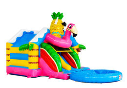 Compra online un castillo inflable Slide Combo con figuras en 3D y un tobogán