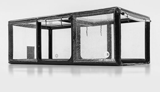 Comprar neumática JB Showcase para utilizar vehículos