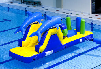 Compra un tobogán hinchable para correr delfines con objetos divertidos para grandes y pequeños. Ordene atracciones acuáticas inflables ahora en línea en JB Hinchables España