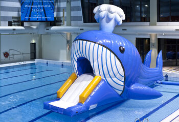 Compre Obstacle Run hermético con temática de ballenas con objetos de obstáculos desafiantes para niños. Ordene carreras de obstáculos inflables en línea ahora en JB Hinchables España