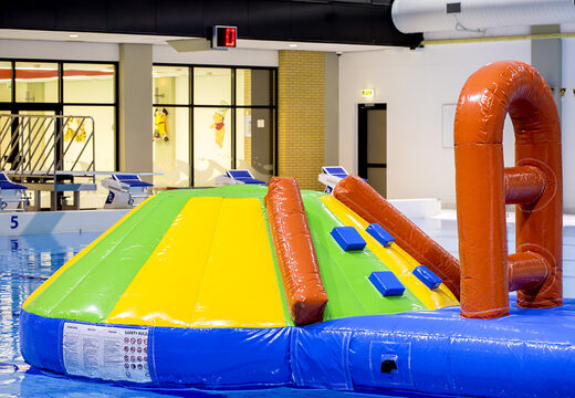 Obtenga un tobogán inflable con tema de delfines para jóvenes y mayores. Ordene juegos de piscina inflables ahora en línea en JB Hinchables España