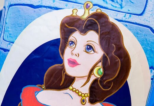 Ordene un castillo hinchable azul multifuncional con temática de princesa con un tobogán para niños. Compre castillos hinchables en línea en JB Hinchables España