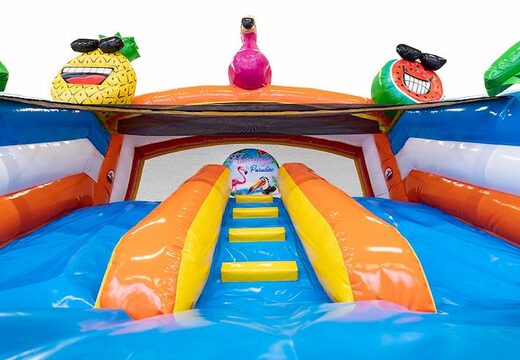 Ordene un castillo hinchable de interior para varios juegos con tema de flamencos para niños en JB Hinchables España. Compre castillos hinchables en línea en JB Hinchables España
