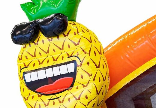 Compre castillo hinchable multiplay con tema de flamencos con bañeras conectables para niños en JB Hinchables España. Ordene castillos hinchables en línea en JB Hinchables España