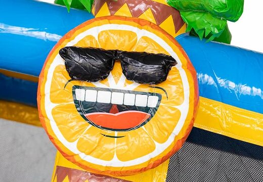 Opblaasbaar Multi Splash Bounce Flamingo springkussen met zwembadje te koop in thema flamingo voor kids bij JB Inflatables