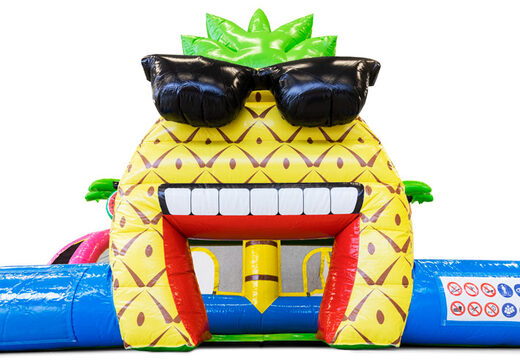 Comprar Castillo hinchable para niños con temática de Flamingo. Ordene inflables en línea en JB Hinchables España