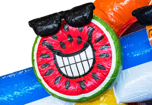 Ordene el castillo hinchable Mini Multiplay en tema Flamingo para niños. Comprar castillos hinchables en JB Hinchables España