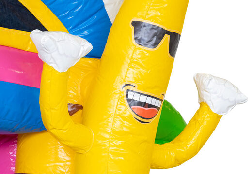 Ordene la fiesta de verano del castillo hinchable de la caja múltiple inflable